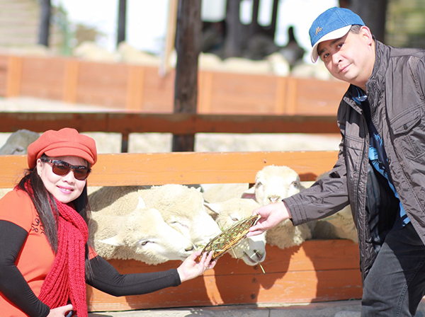 Happy Romantic Spring