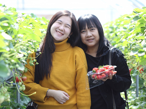 Happy Romantic Spring