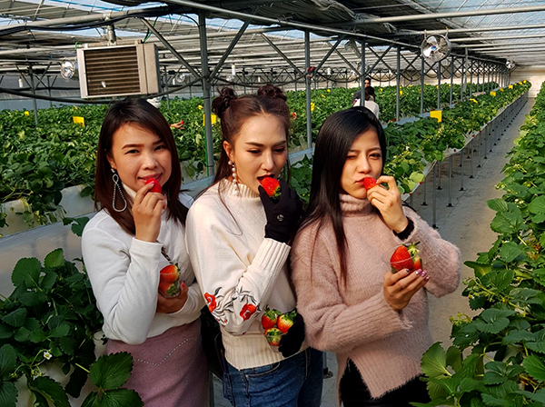 Happy Ice Fishing 2019