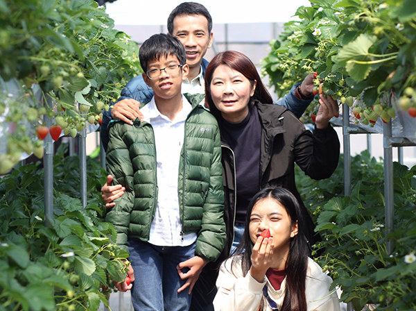 Happy Romantic Spring