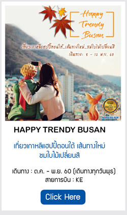 Happy Trendy Busan