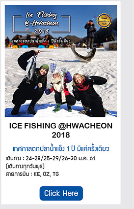 Ice Fishing @ Hwacheon ตกปลาน้ำแข็ง 1 ปีมีครั้งเดียว
