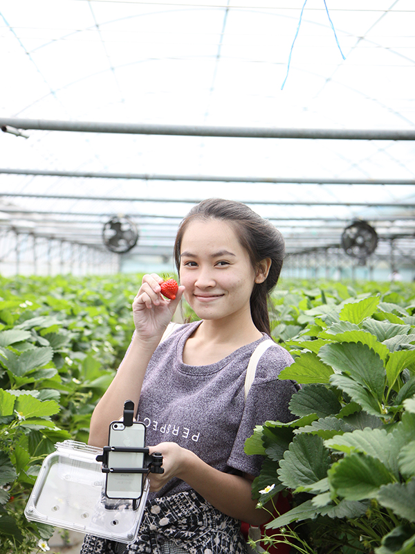 ทัวร์เกาหลี April Snow 11-15 April 2016
