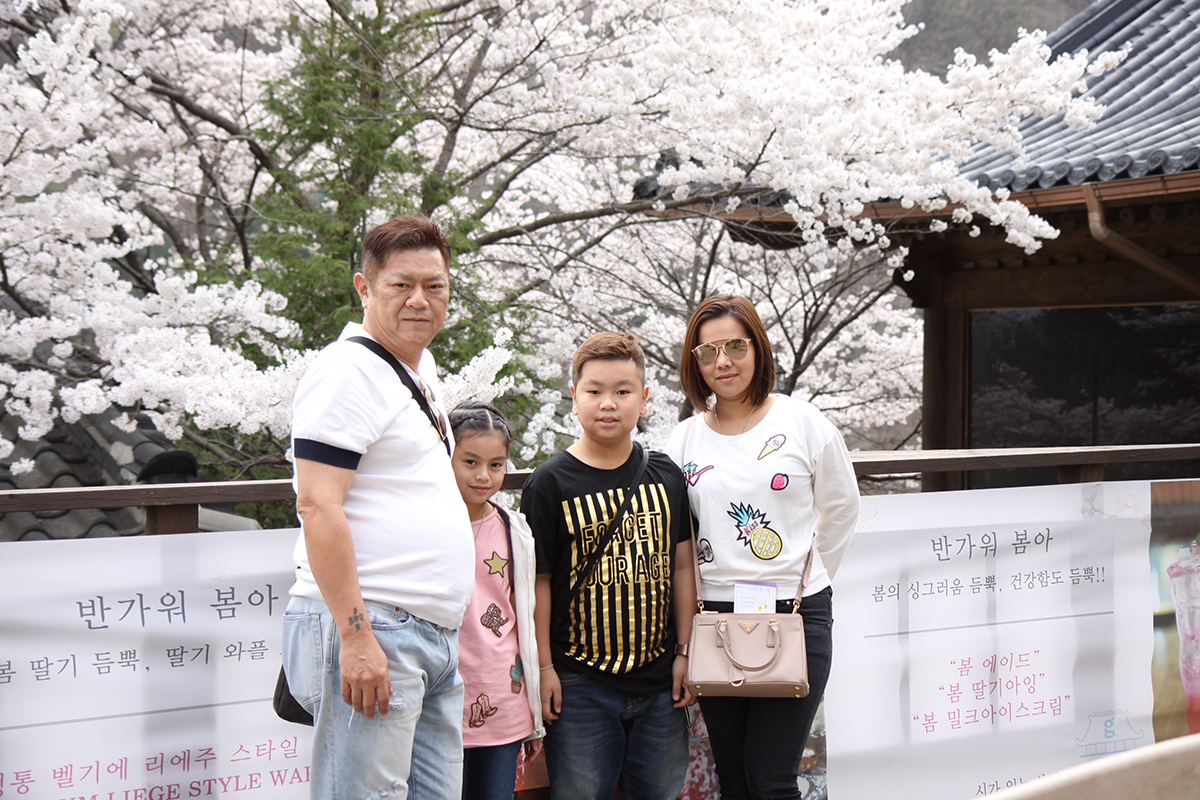 ทัวร์เกาหลี April Snow 11-15 April 2016