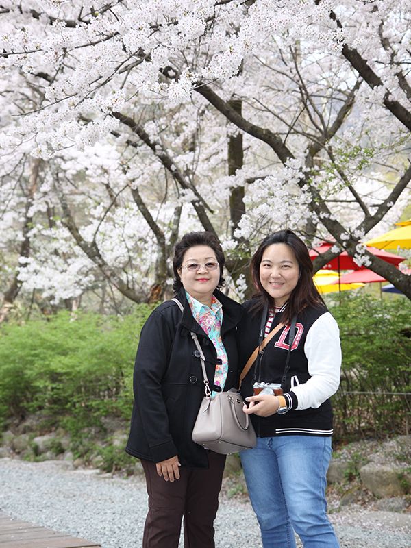 ทัวร์เกาหลี April Snow 11-15 April 2016