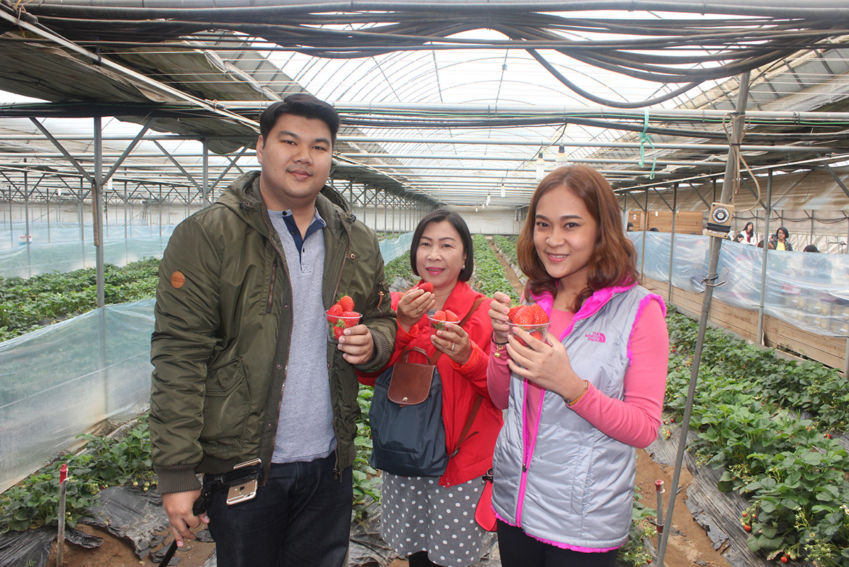 ทัวร์เกาหลี Memory Romantic 12-16 เมษายน 2559