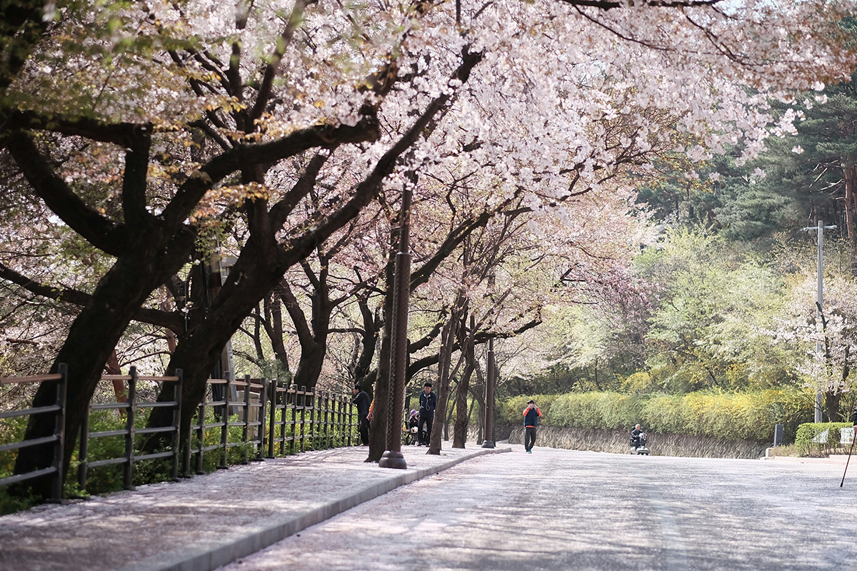 ทัวร์เกาหลี K-Very Yummy  13 - 17 เมษายน 2559