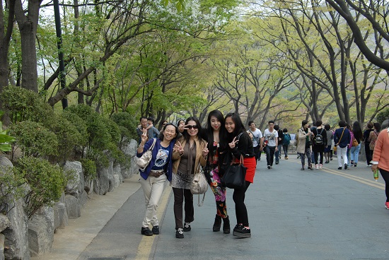 เที่ยวเกาหลี Happy Spring Super Save 12-16 Apr'14