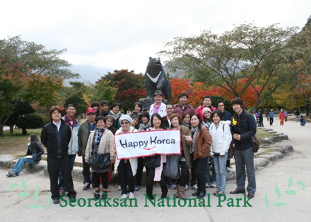 Happy Wow special 29-2 Nov 10