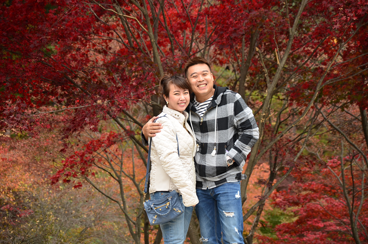 กรุ๊ปทัวร์เกาหลี Happy Delight Autumn 2015