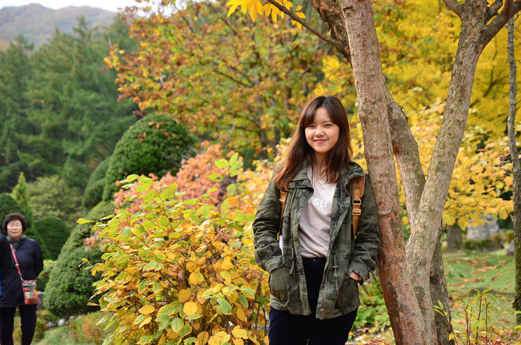 กรุ๊ปทัวร์เกาหลี Happy Delight Autumn 2015