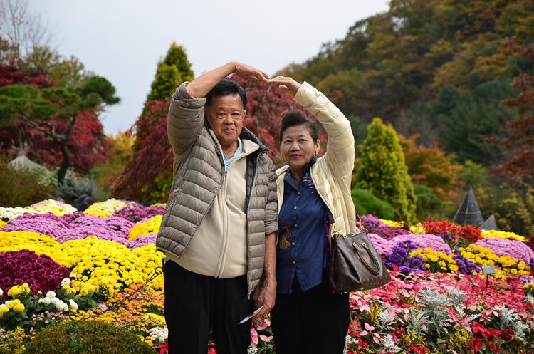 กรุ๊ปทัวร์เกาหลี Happy Delight Autumn 2015